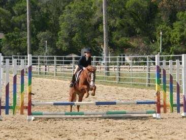 Horse Sense Education & Advocacy | Covered Bridge Equestrian Center, 220 Covered Bridge Rd N, Felton, CA 95018, USA | Phone: (831) 316-4773