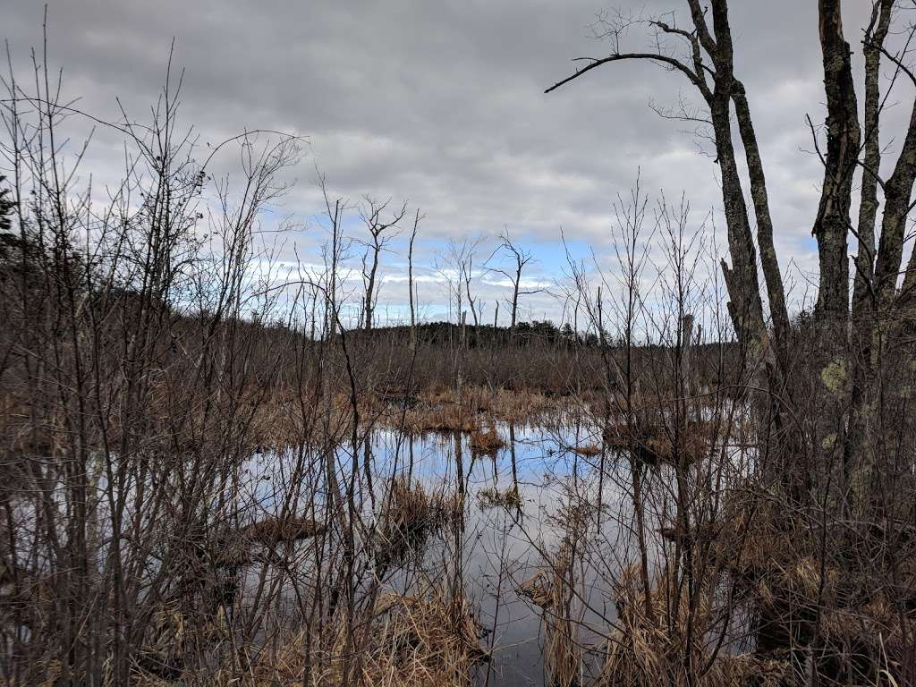 Crane Pond WMA | Georgetown, MA 01833, USA