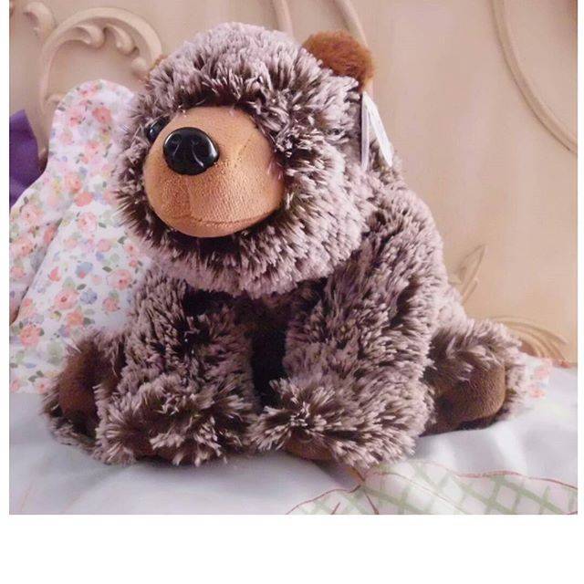 Wishpets LLC | 6555 SW 110th Ct, Beaverton, OR 97008, USA | Phone: (503) 574-2700 Wishpets LLC | 6555 SW 110th Ct, Beaverton, OR 97008, USA | Phone: (503) 574-2700