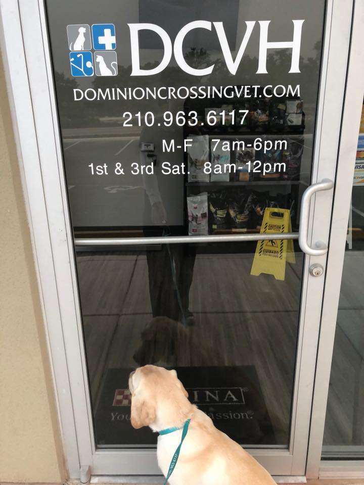 Dominion Crossing Veterinary Hospital | 21715 I-10 W ste 110, San Antonio, TX 78257, USA | Phone: (210) 963-6117
