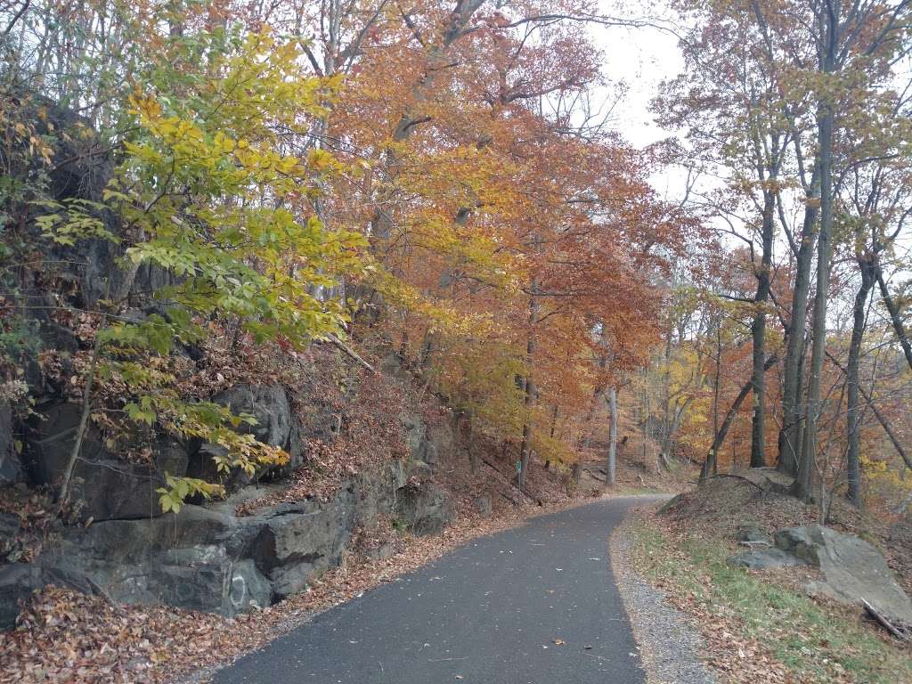 Chester Creek Trail | 249 Knowlton Rd, Media, PA 19063 | Phone: (610) 891-4663