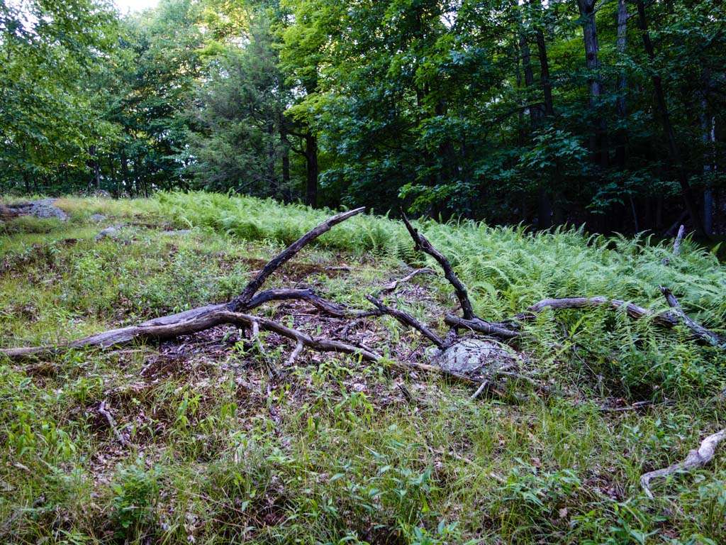 Tuxedo Lookout | Tuxedo, NY 10987, USA