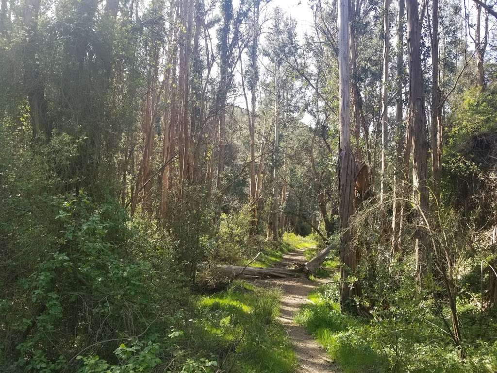 Rivas Canyon Park | Pacific Palisades, CA 90272