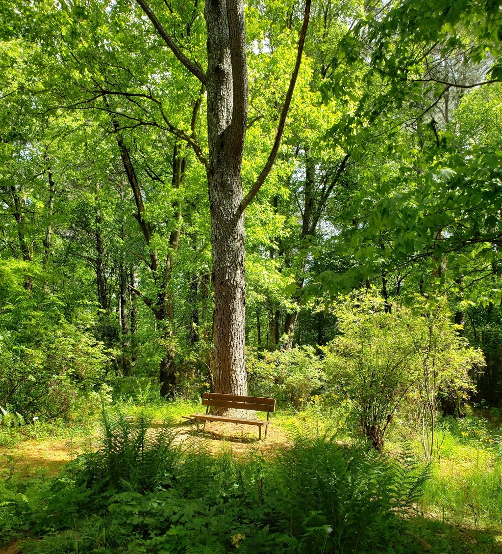 Georgia State University Perimeter College Native Plant Botanical Gardens | 3251 Panthersville Rd, Decatur, GA 30034, USA | Phone: (678) 891-2668