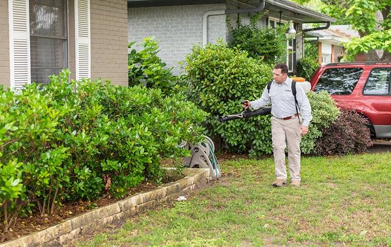 Evolve Pest Control | 4132B Billy Mitchell Dr, Addison, TX 75001, USA | Phone: (469) 498-1860