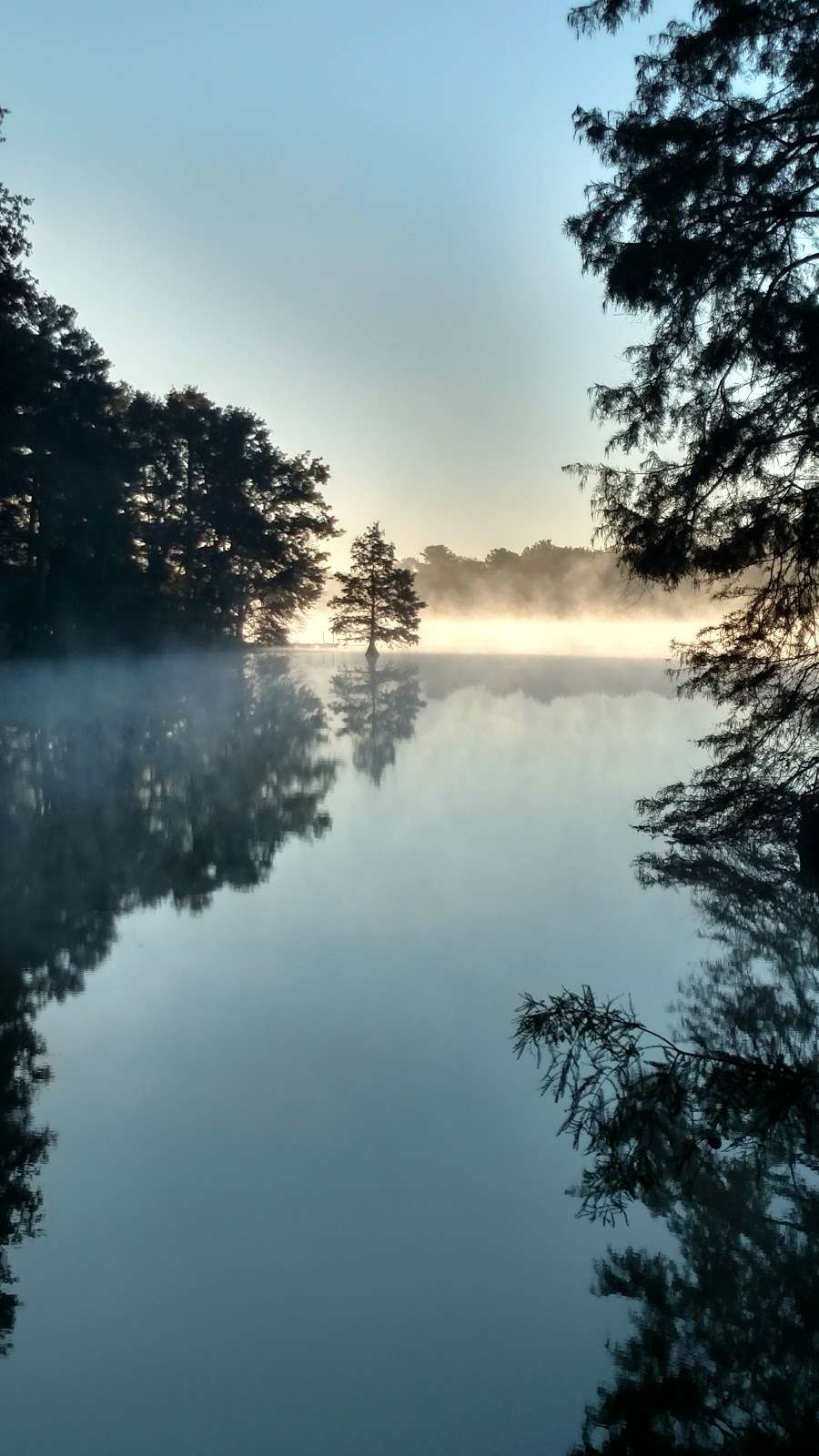 Trap Pond State Park | 33587 Baldcypress Lane, Laurel, DE 19956, USA | Phone: (302) 875-5153