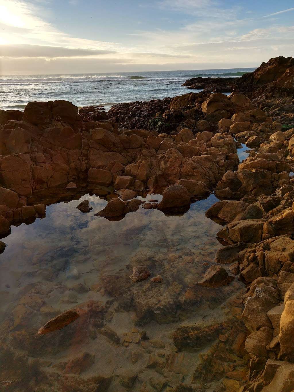 Pescadero Marsh Natural Preserve | New Years Creek Rd, Pescadero, CA 94060, USA | Phone: (650) 593-3281