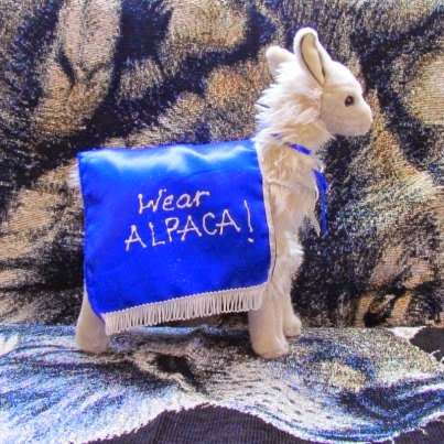 Alpaca Store & More | 30 W Boulder St, Nederland, CO 80466, USA | Phone: (303) 258-1400