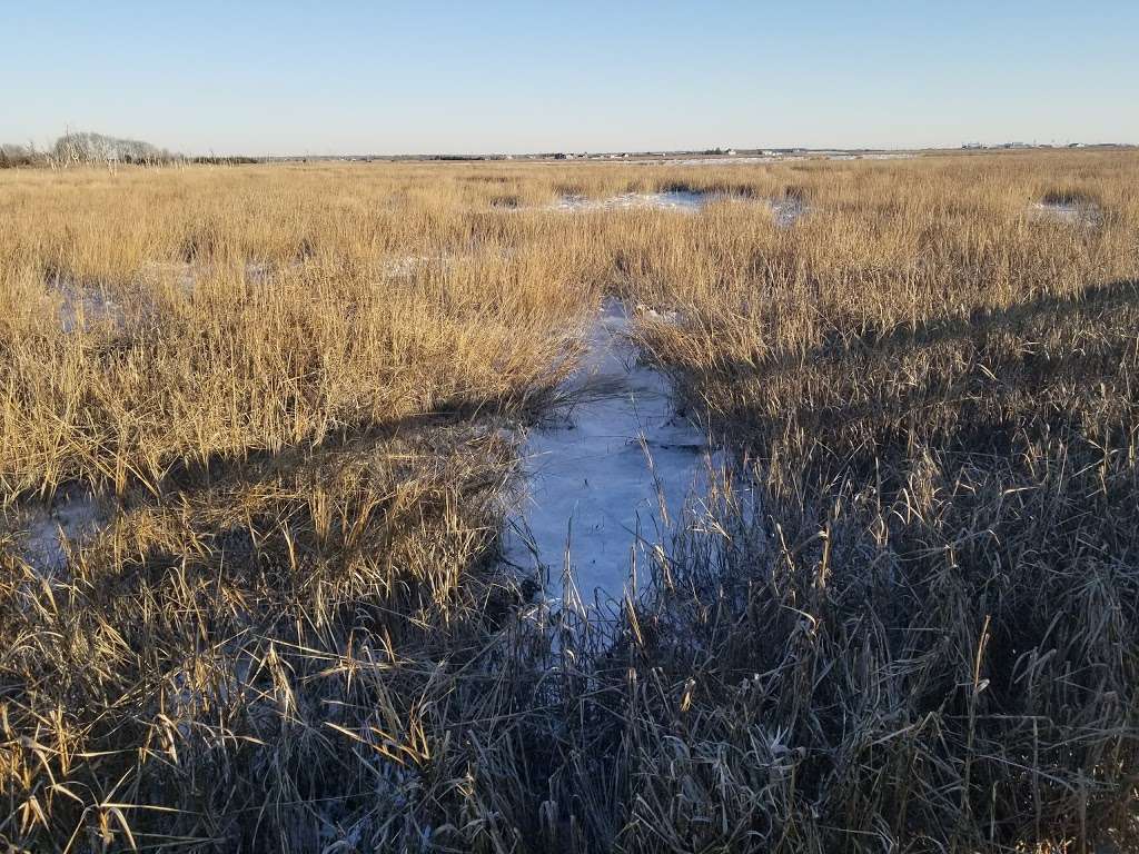 Heislerville Wildlife Management Area | Heislerville, NJ 08324, USA | Phone: (856) 785-0455