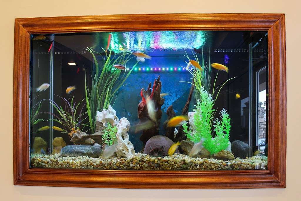 Star Plus Dental - Family Dental Care | 11102 S Texas 6 #104, Sugar Land, TX 77498, USA | Phone: (281) 988-8955