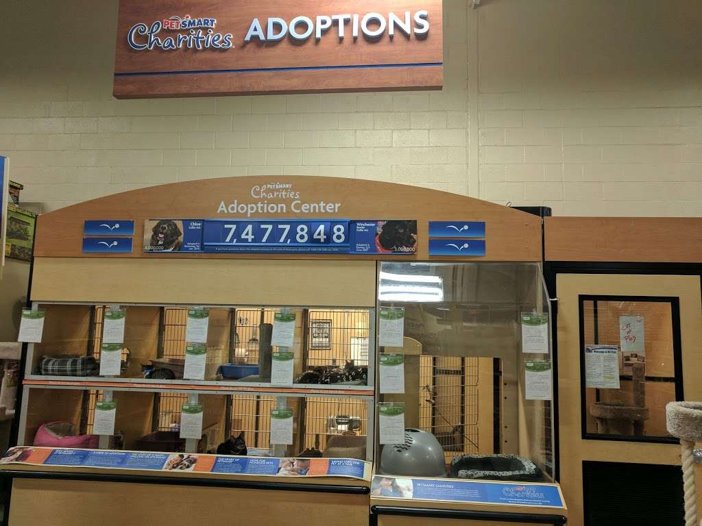 PetSmart | 1301 E Gladstone St, Glendora, CA 91740, USA | Phone: (909) 599-7012