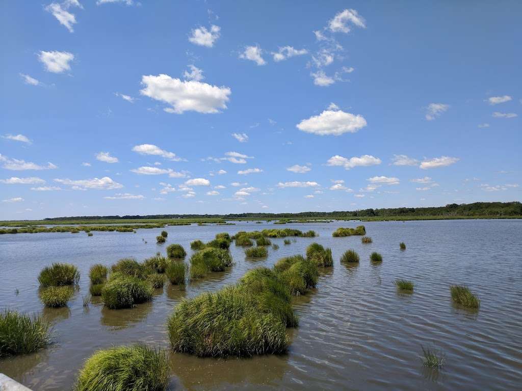 Commercial Township Wetlands Restoration Site | 75°0211.5"W, 391401 1st Ave, Callahan, FL 32011