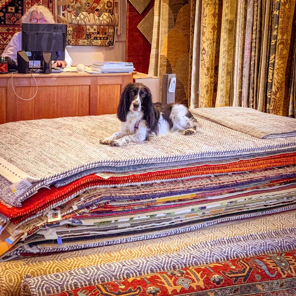 Rustigian Rugs | 1 Governor St, Providence, RI 02906, USA | Phone: (401) 751-5100