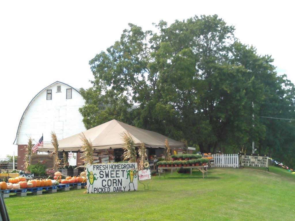 Meyer Family Farms Vegetable Stand | 22201 75th St, Salem, WI 53168, USA | Phone: (262) 620-1039