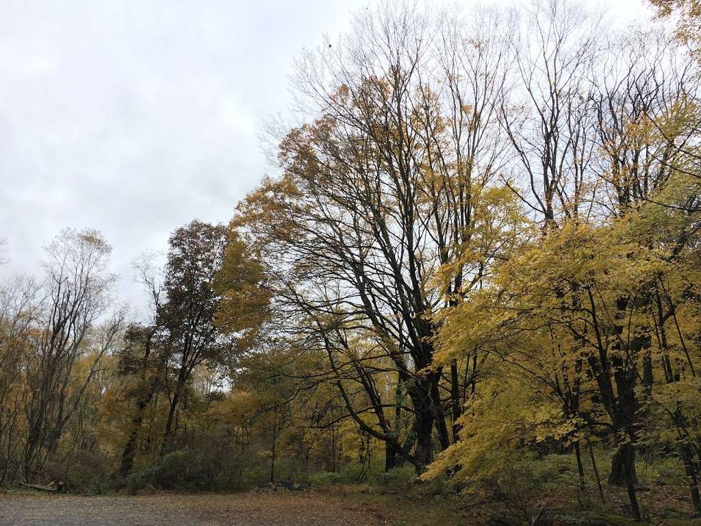 Buttermilk Falls Trail Parking, Mountain Road, Layton, NJ | Layton, NJ 07851, USA