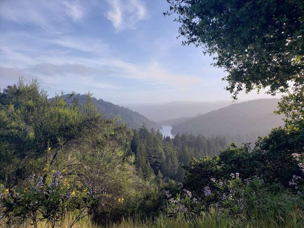 Loch Trail | Loch Trail, Ben Lomond, CA 95005, USA