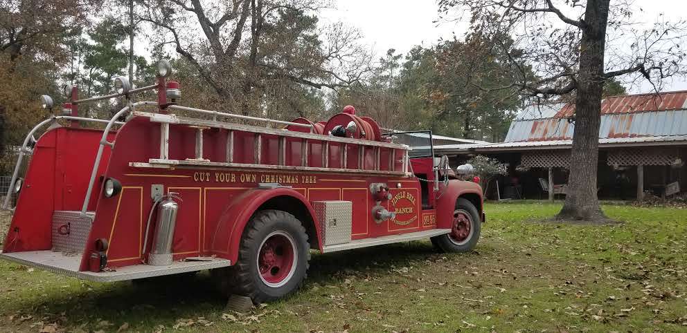 Red Caboose Farm | 14558 Tree Farm Rd, Magnolia, TX 77354, USA | Phone: (281) 259-9776