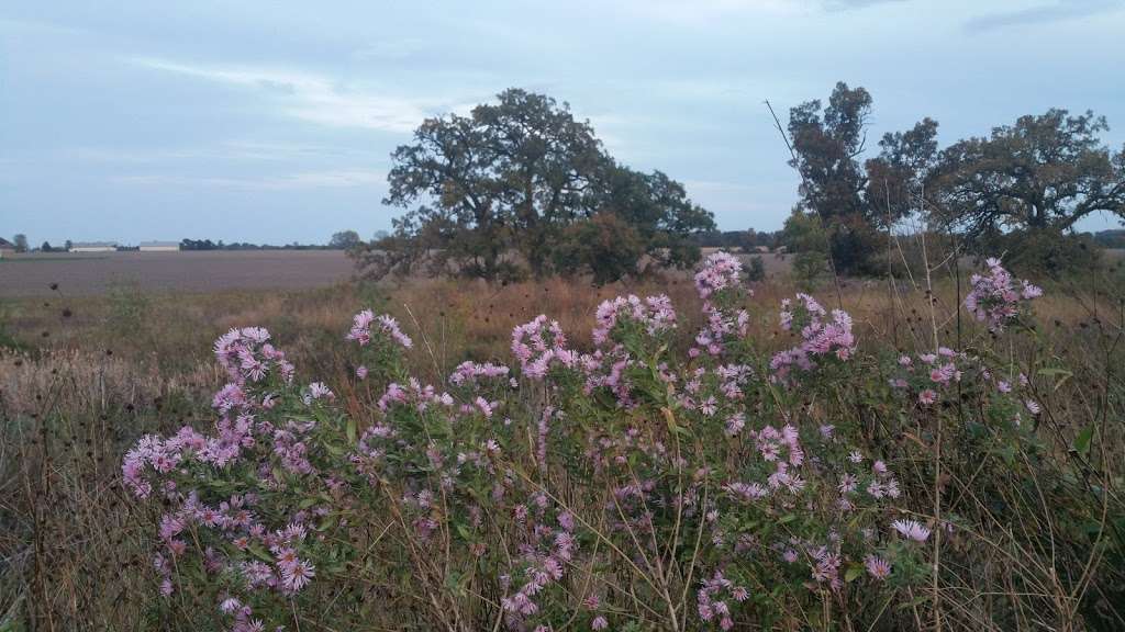 Prairie Oaks Forest Preserve | 7535 Cherry Valley Rd, Kingston, IL 60145, USA