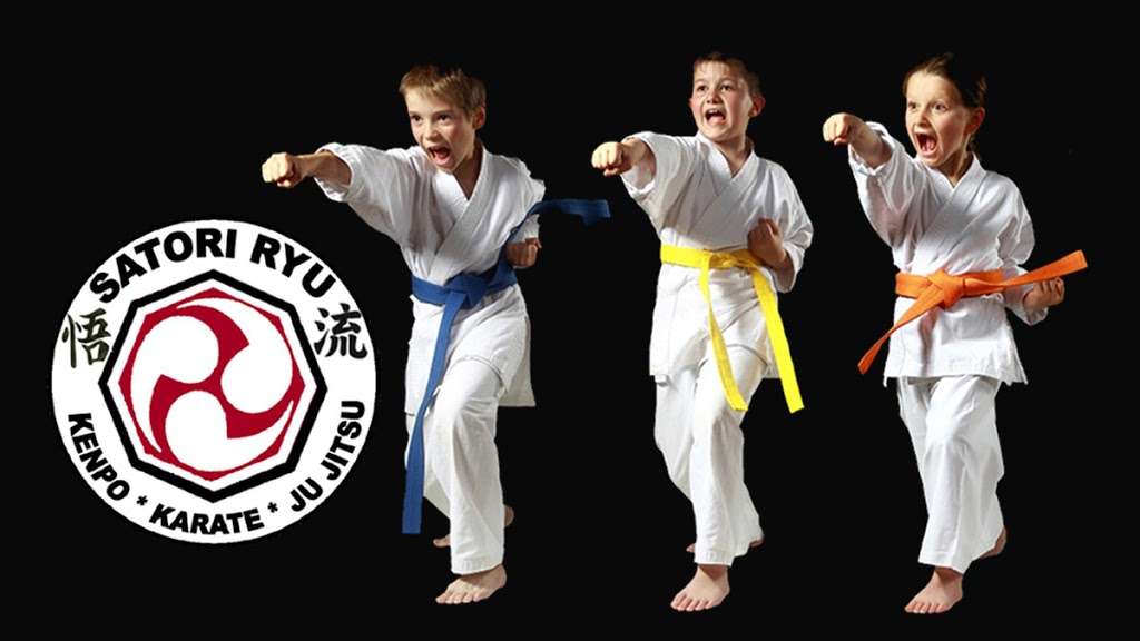 Satori Ryu Karate | 480 Neponset St bldg 9b, Canton, MA 02021, USA | Phone: (781) 713-4680