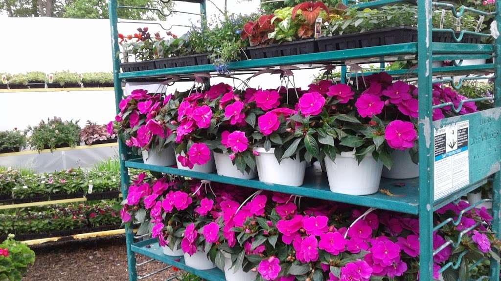 Hilltop Garden Center | 1339 N Black Horse Pike, Blackwood, NJ 08012, USA | Phone: (856) 232-8844