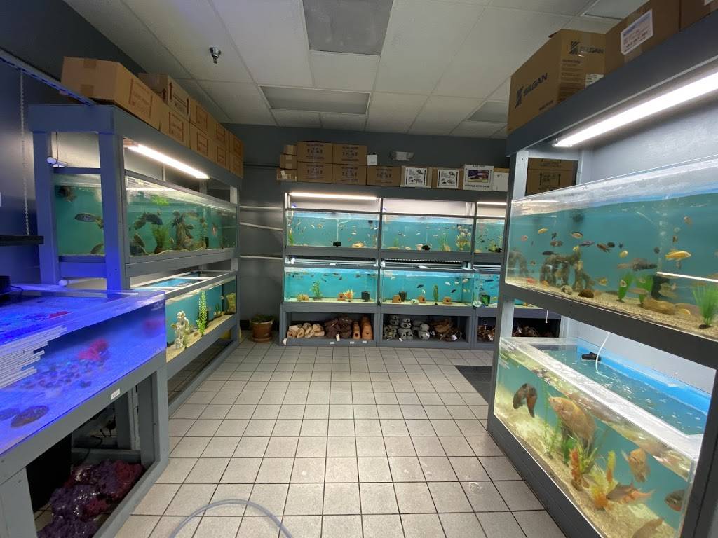 Natural Environment Aquatix | 3000 FL-104 Suite 39, Jacksonville, FL 32218, USA | Phone: (904) 982-7662