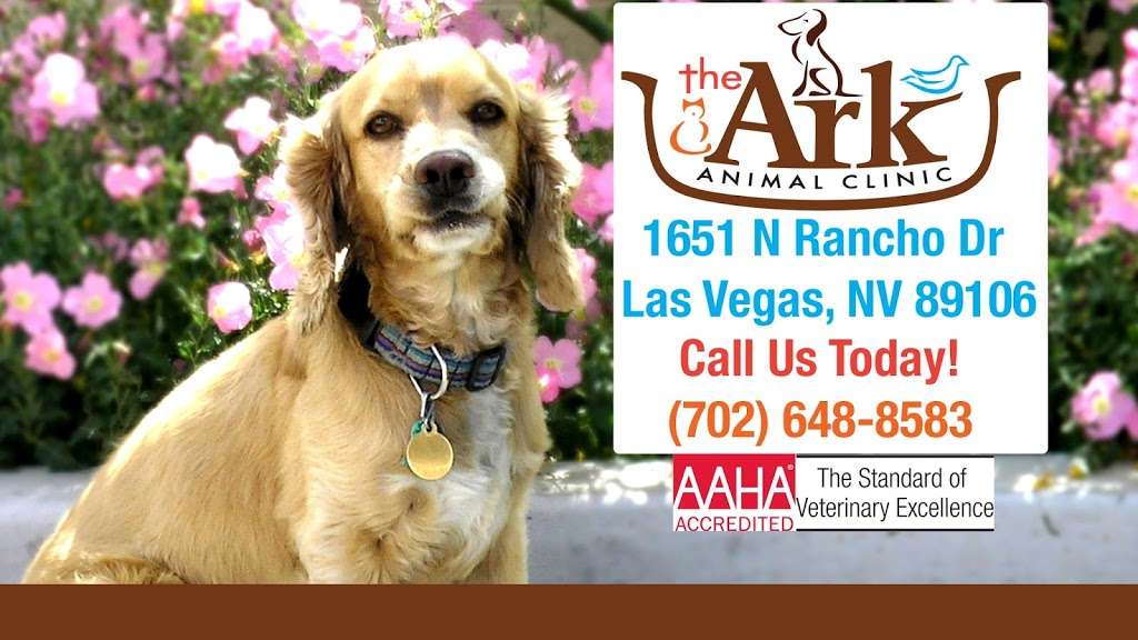 The Ark Animal Clinic | 1651 N Rancho Dr, Las Vegas, NV 89106, USA | Phone: (702) 648-8583