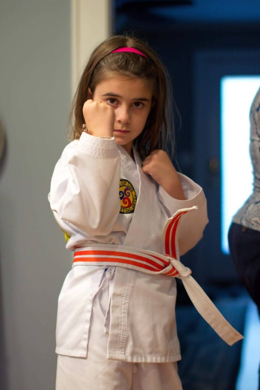 Hands of Life Martial Arts | 508 North Ave, Garwood, NJ 07027, USA | Phone: (908) 232-1311