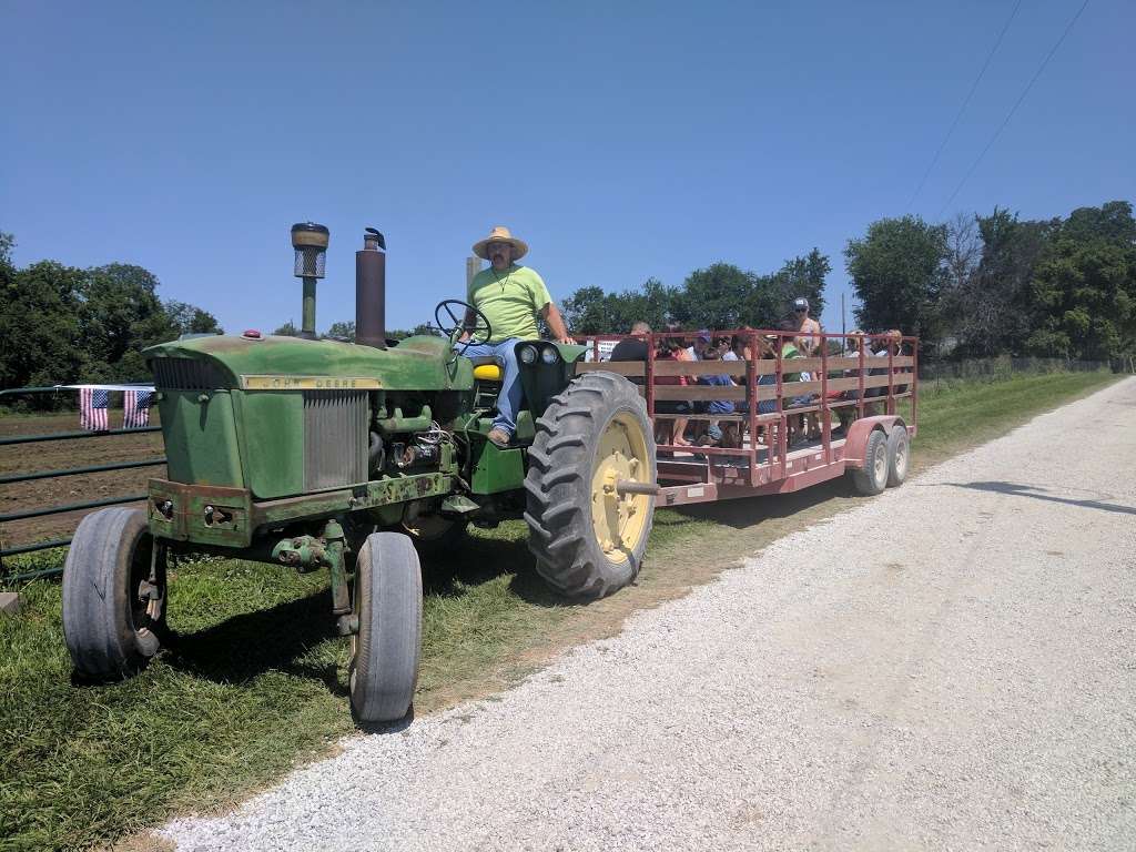 Gieringers Orchard/Gieringers Family Orchard & Berry Farm | 39345 W 183rd St, Edgerton, KS 66021, USA | Phone: (913) 893-9626