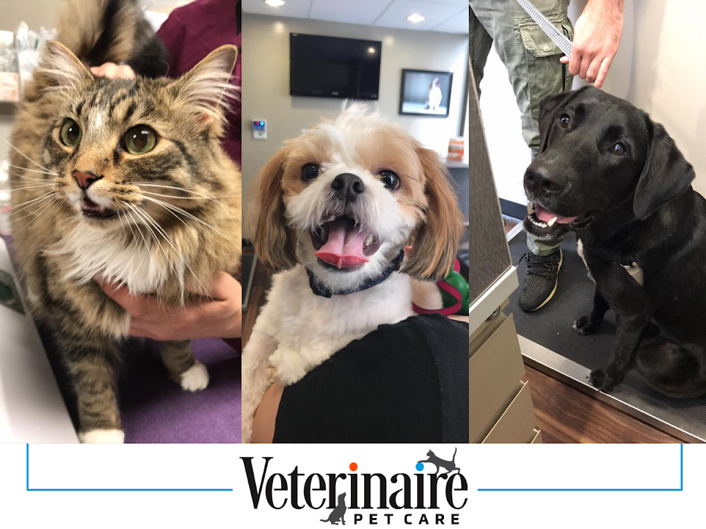 Veterinaire Pet Care | 25 Senate Pl, Jersey City, NJ 07302, USA | Phone: (201) 565-2301