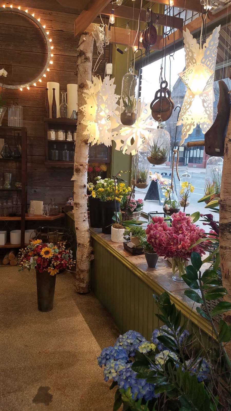 Jephry Floral Studio | 432 Broadway, Providence, RI 02909, USA | Phone: (401) 351-3510