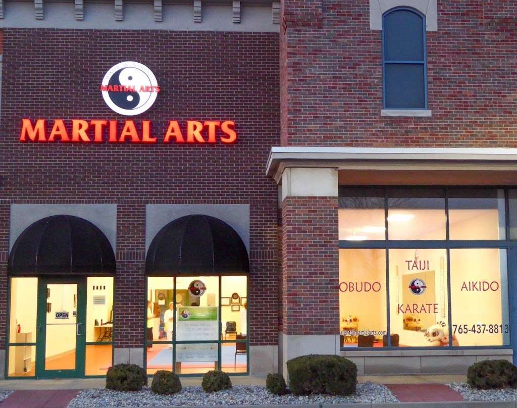 Lings Oriental Martial Arts, LLC | 5707 Pebble Village Ln, Noblesville, IN 46062, USA | Phone: (765) 437-8813