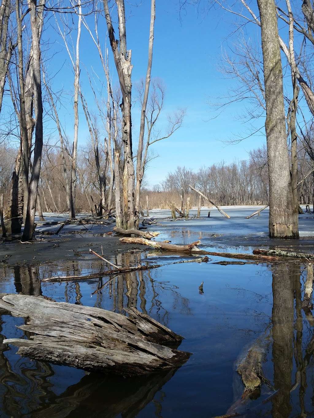 Princes Point Wildlife Area | N1098 Co Rd D, Whitewater, WI 53190, USA