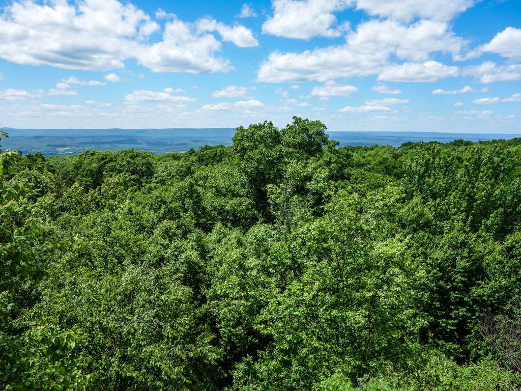 Wolf Rocks | Appalachian Trail, Stroudsburg, PA 18360