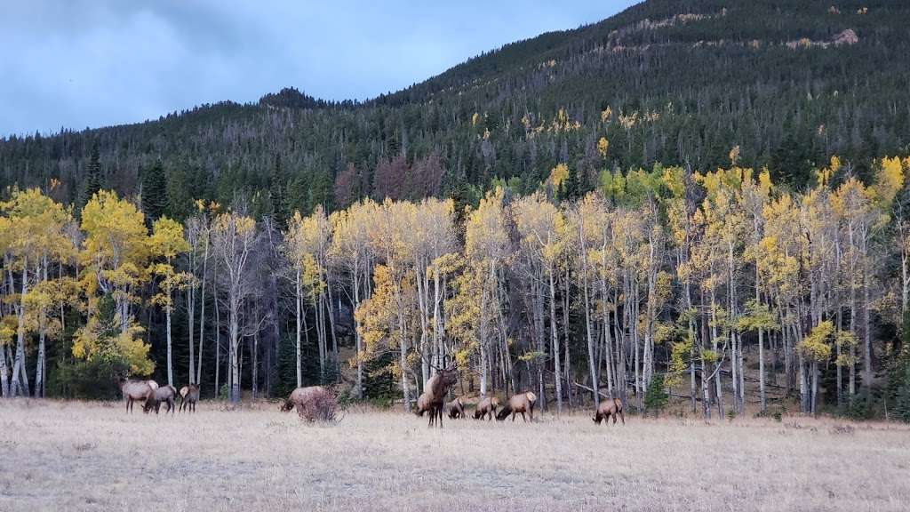 West Horseshoe Park | Estes Park, CO 80517 | Phone: (970) 586-1206