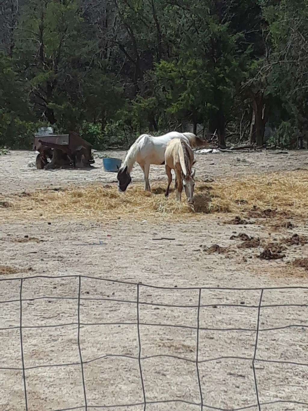 Arden Terrace Park | 2280 E Pentagon Pkwy, Dallas, TX 75241, USA