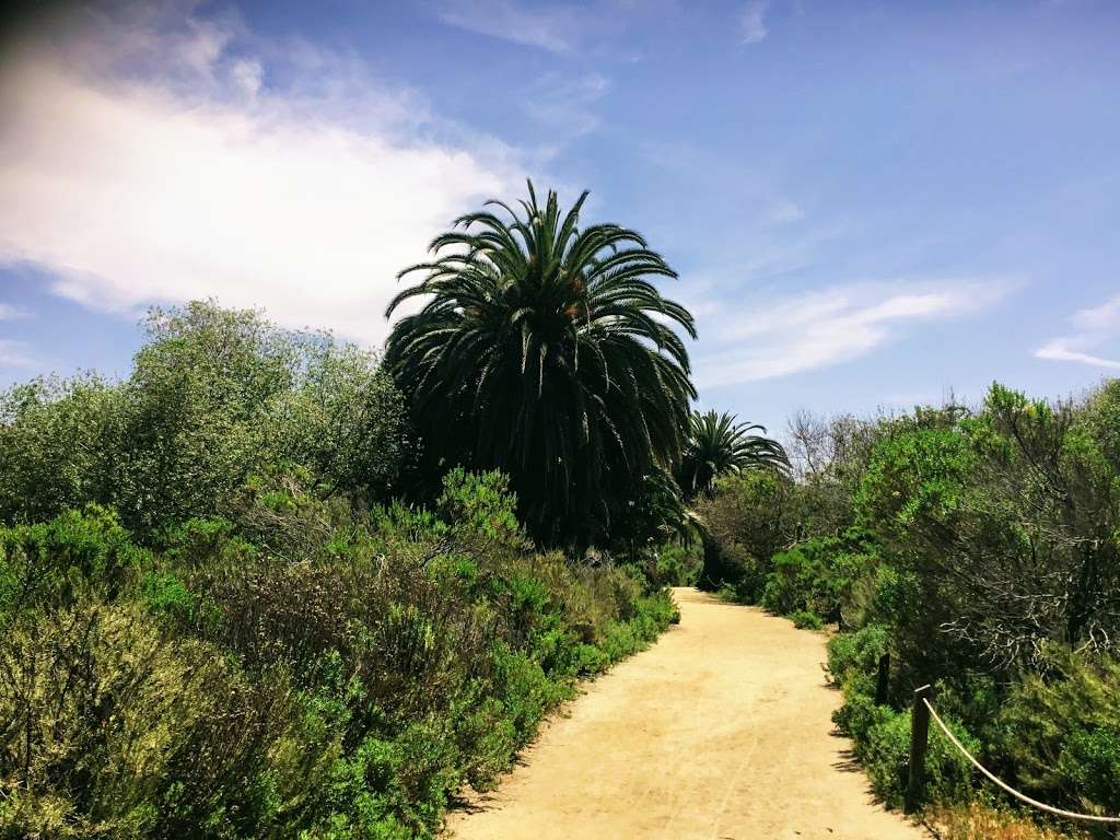 Lagoon Trail At Pelican Road | Unnamed Road, Carlsbad, CA 92011, USA