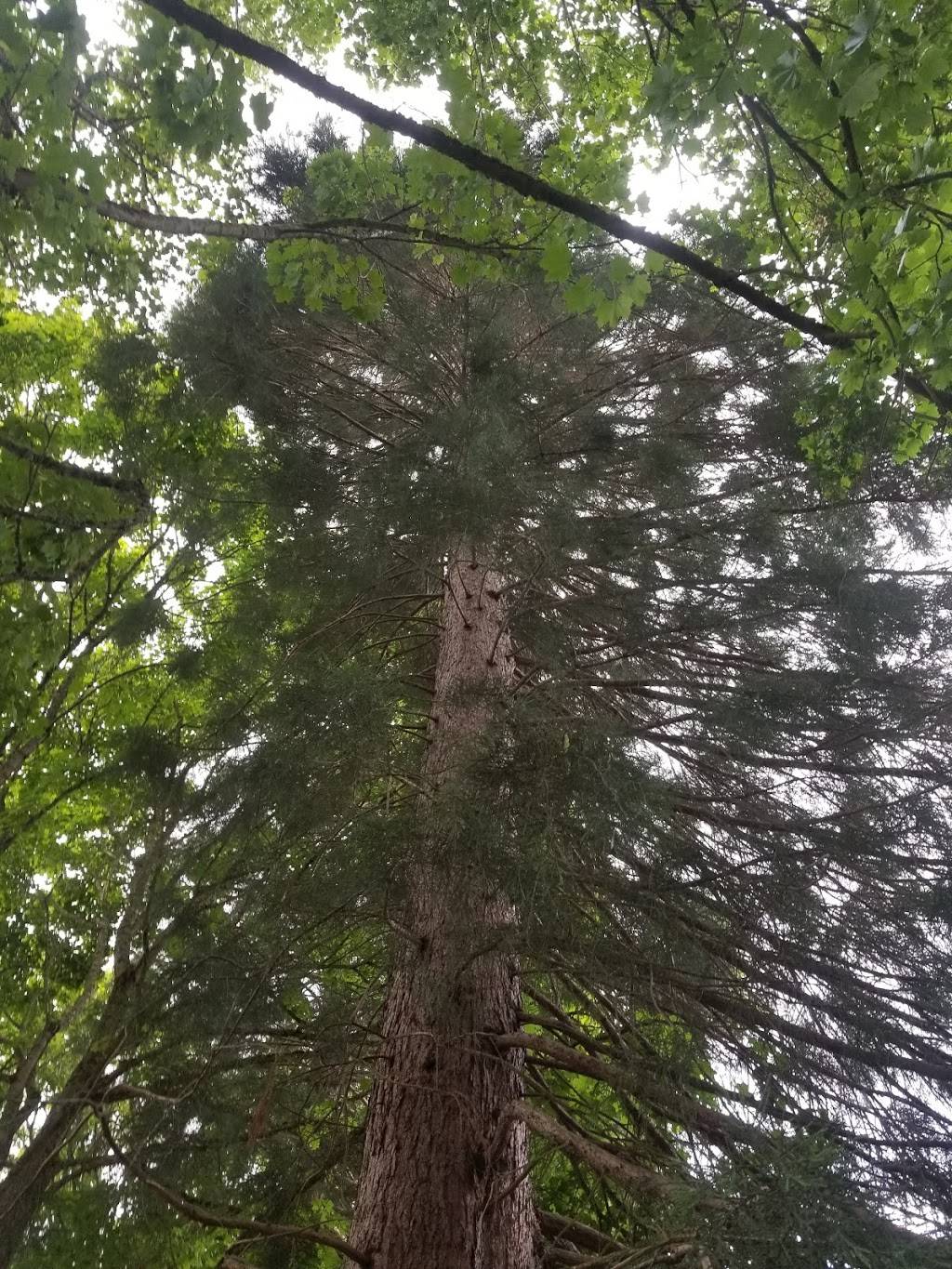 McKenna Park | N Princeton St & N Wall Ave, Portland, OR 97203, USA | Phone: (503) 823-2525