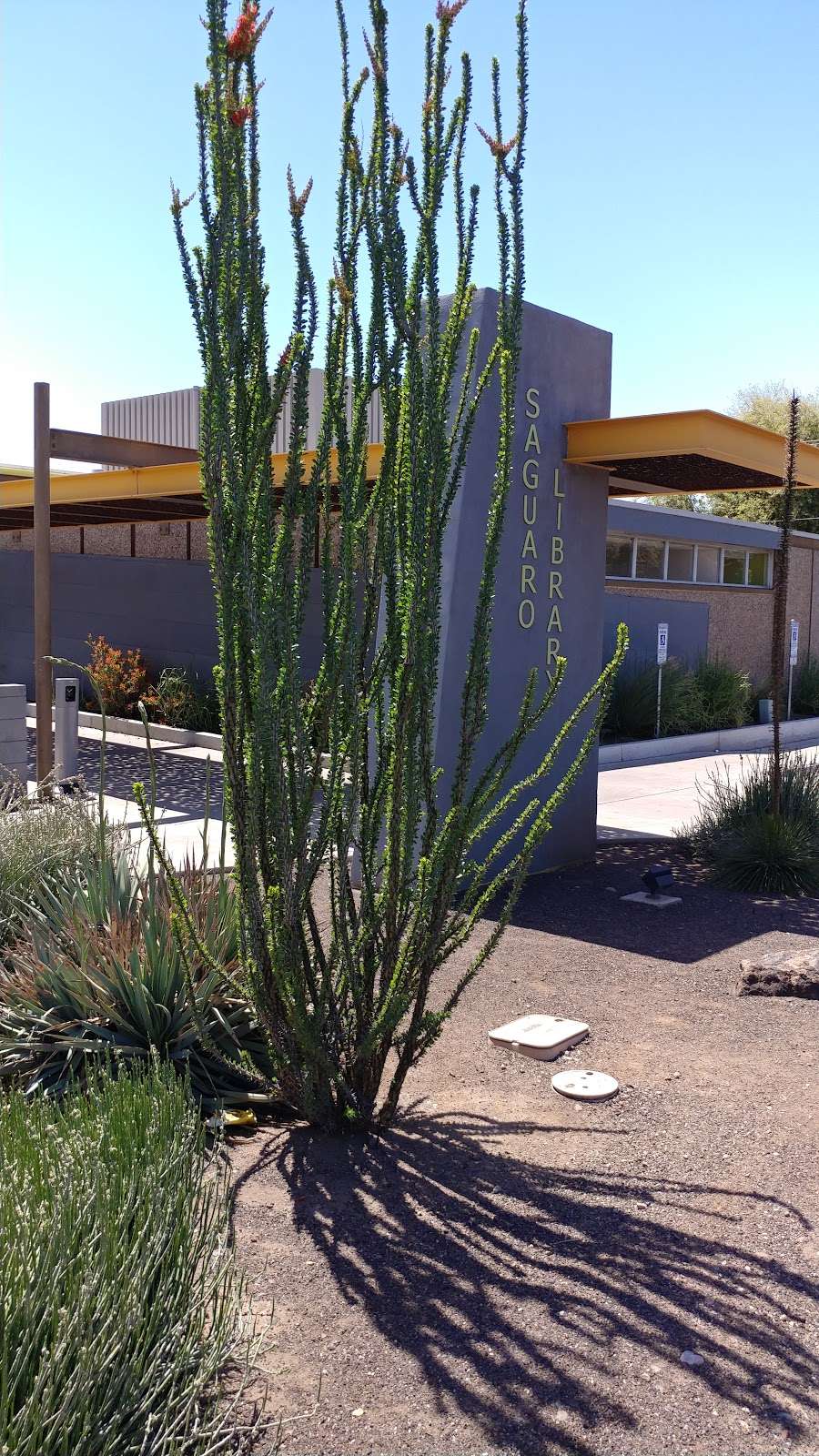 Saguaro Library | 2808 N 46th St, Phoenix, AZ 85008, USA | Phone: (602) 262-4636
