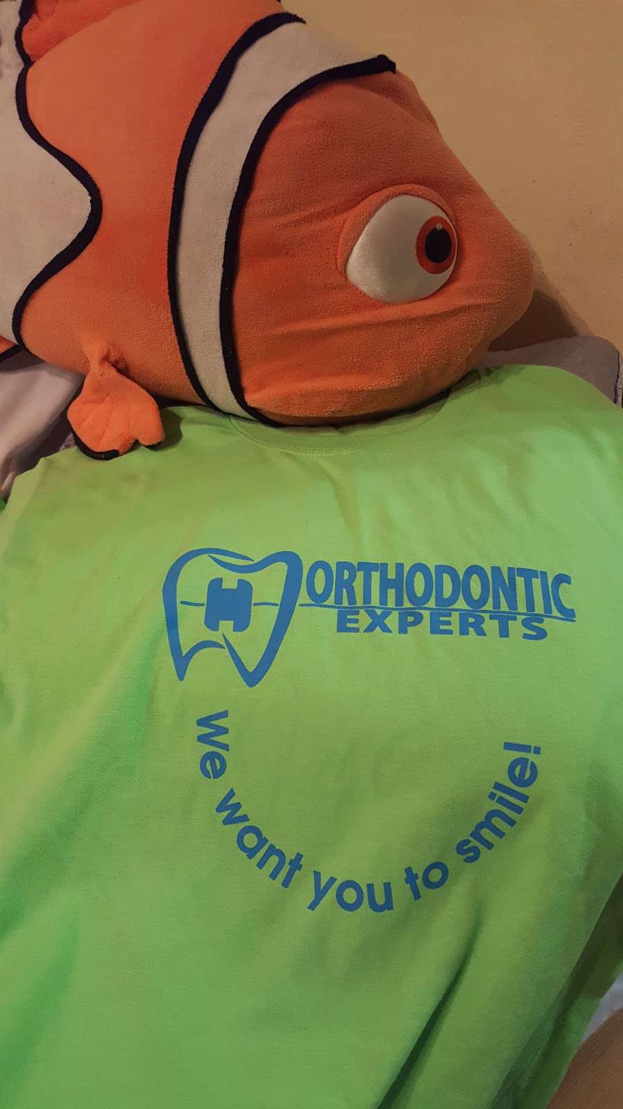 Orthodontic Experts | 1719 W 18th St, Chicago, IL 60608, USA | Phone: (312) 767-2009