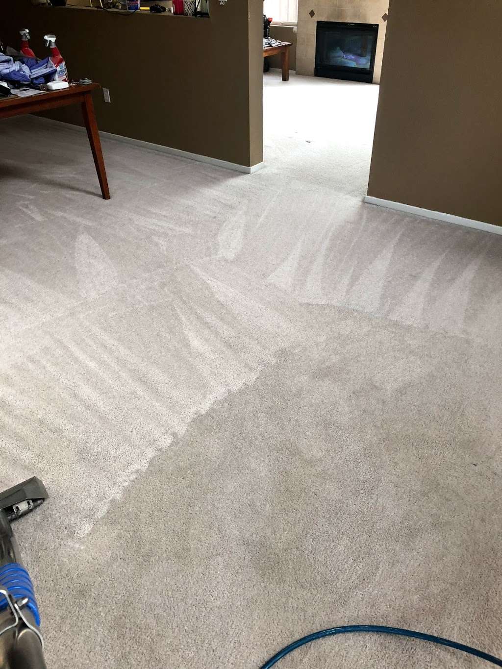 Next level carpet care | 1022 Nutmeg Dr, Oakley, CA 94561, USA | Phone: (925) 727-4304