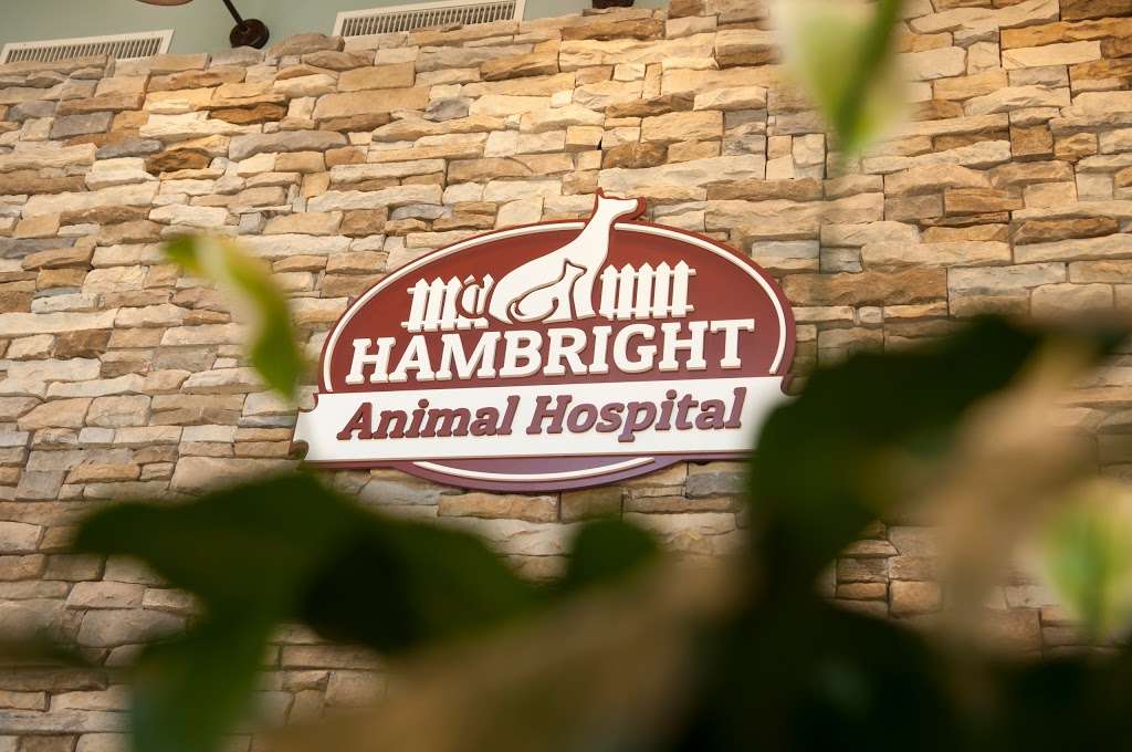 Hambright Animal Hospital | 11725 Hambright Rd, Huntersville, NC 28078, USA | Phone: (704) 912-5333