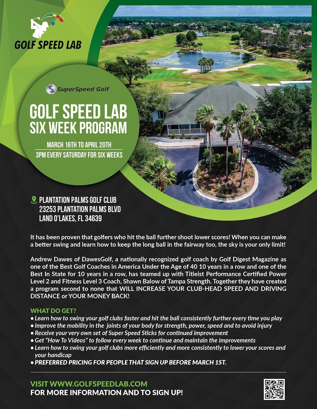 DawesGolf Performance Coaching | Golf Club, 23253 Plantation Palms Blvd, Land O Lakes, FL 34639, USA | Phone: (813) 358-3864