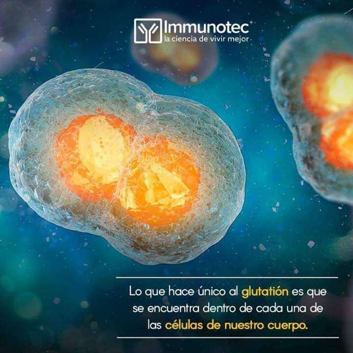 CONSULTOR INDEPENDIENTE IMMUNOTEC | 409 Justine Ave, Bolingbrook, IL 60440 | Phone: (630) 870-7502