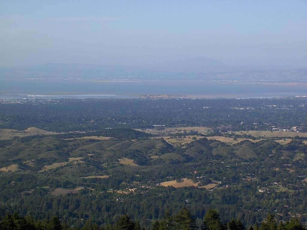 Windy Hill | Hamms Gulch Trail, Portola Valley, CA 94028, USA