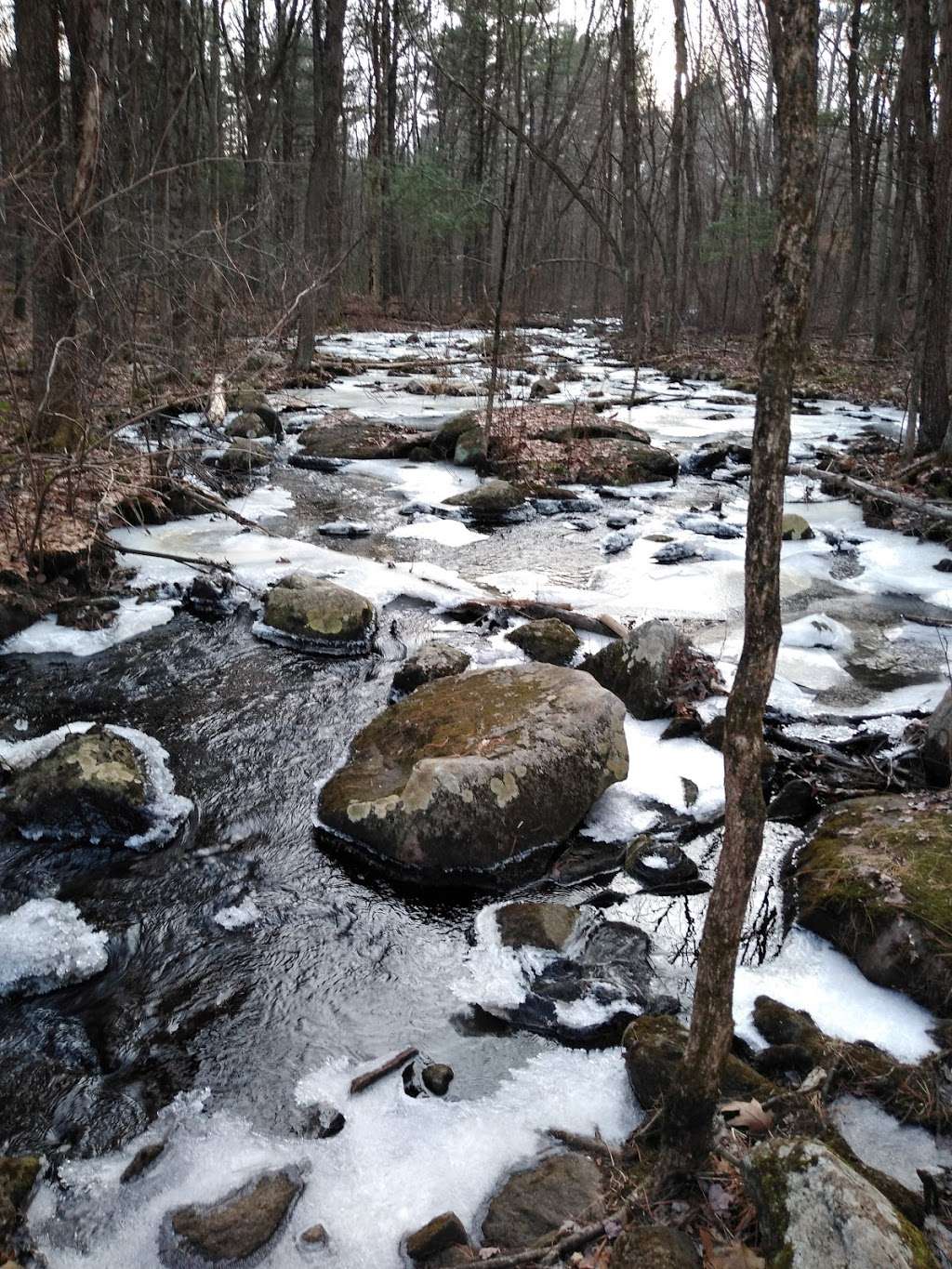 Pratts Brook Conservation Area | 108R Parker St, Acton, MA 01720, USA | Phone: (978) 929-6634