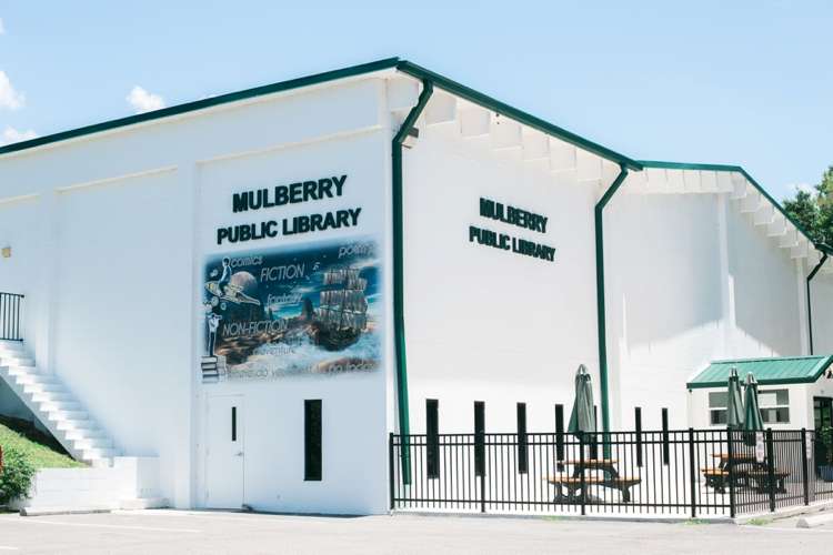 Mulberry Public Library | 905 NE 5th St, Mulberry, FL 33860, USA | Phone: (863) 425-3246