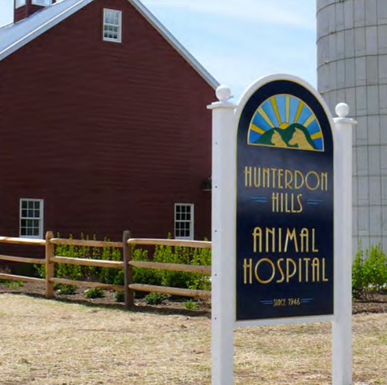 Hunterdon Hills Animal Hospital | 411 US-22, Whitehouse Station, NJ 08889, USA | Phone: (908) 534-2321