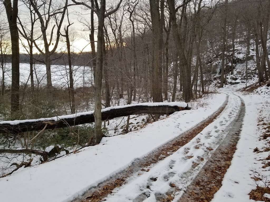 Black Rock Forest - Northern Loop Trailhead | 62 Mine Hill Rd, Cornwall, NY 12518, USA