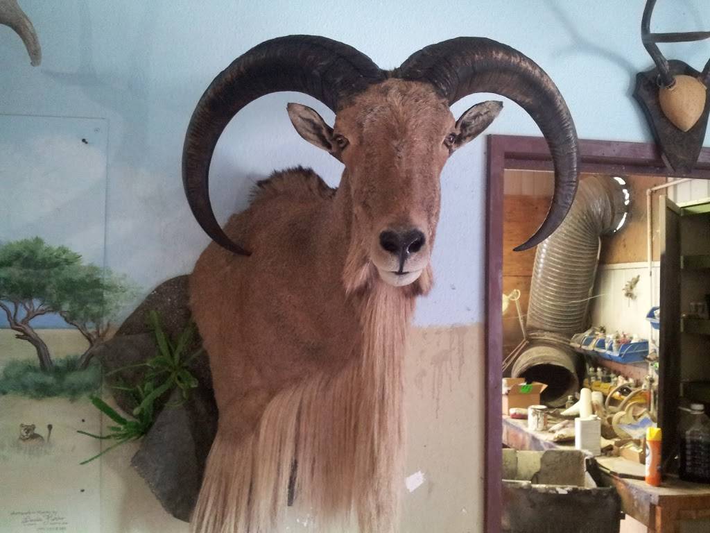 Ricks Taxidermy | 12969 Rd 37, Madera, CA 93636, USA | Phone: (559) 299-0448