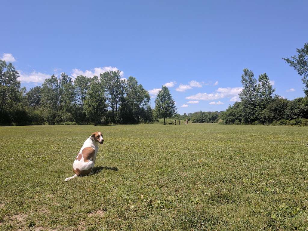 Prairie Wolf Dog Park | 1917-2075 S Waukegan Rd, Lake Forest, IL 60045, USA | Phone: (847) 367-6640